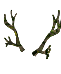 Wanwood Antlers