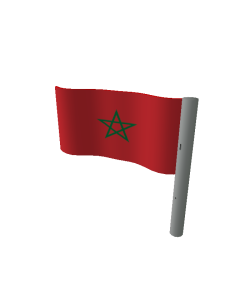 Moroccan Flag